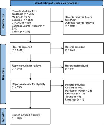 Definition and understanding of “efficiency” in healthcare provision research: a scoping review